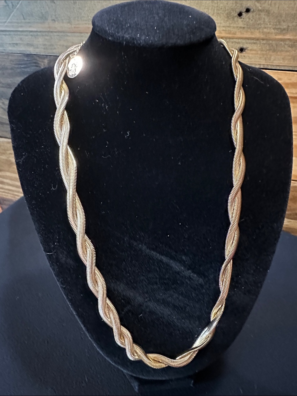 Plunder Gold-Tone Twisted Rope Necklace - soft and moldable. Classic style.
